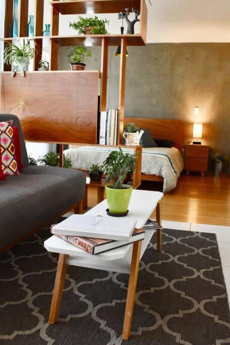Beautiful Loft In Trendy Roma-condesa Elevator Apartment Mexico City