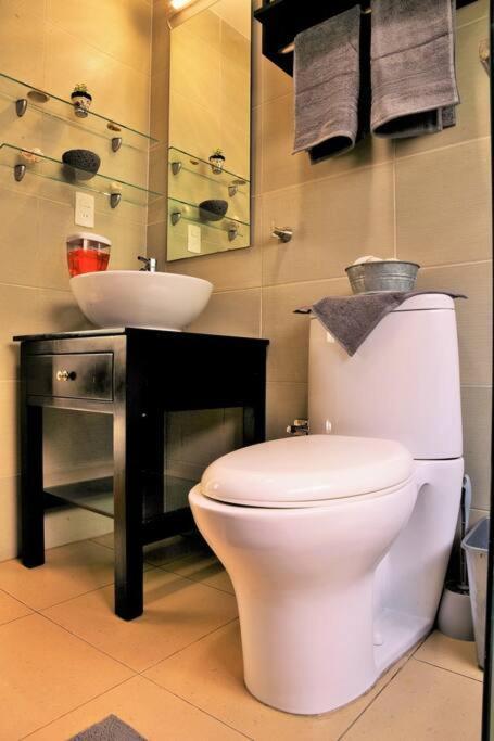 Apartment Beautiful Loft In Trendy Roma-condesa Elevator Mexico City