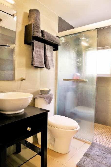 Beautiful Loft In Trendy Roma-condesa Elevator Apartment