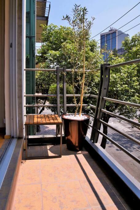 Beautiful Loft In Trendy Roma-condesa Elevator *