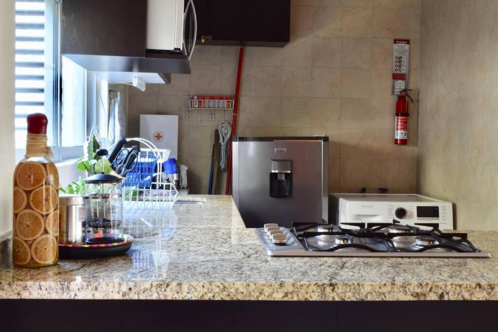 Beautiful Loft In Trendy Roma-condesa Elevator Mexico City
