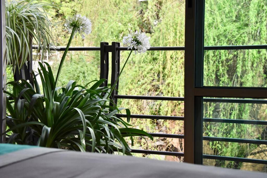 Beautiful Loft In Trendy Roma-condesa Elevator Apartment *